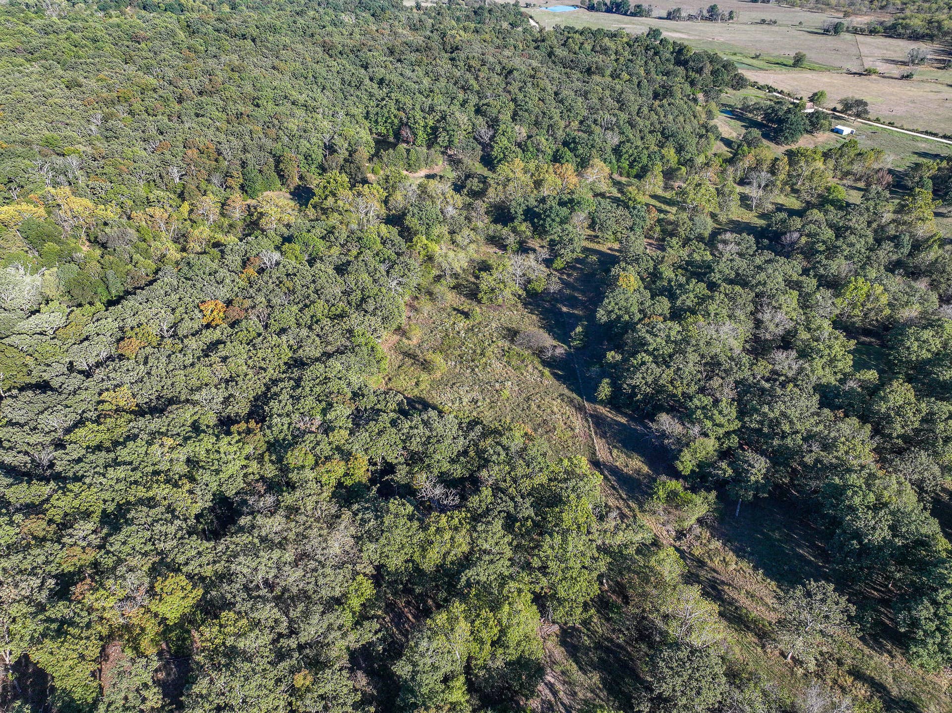 000 S 2125 Road, Stockton, MO 65785 DJI_20261005152758_0345_D