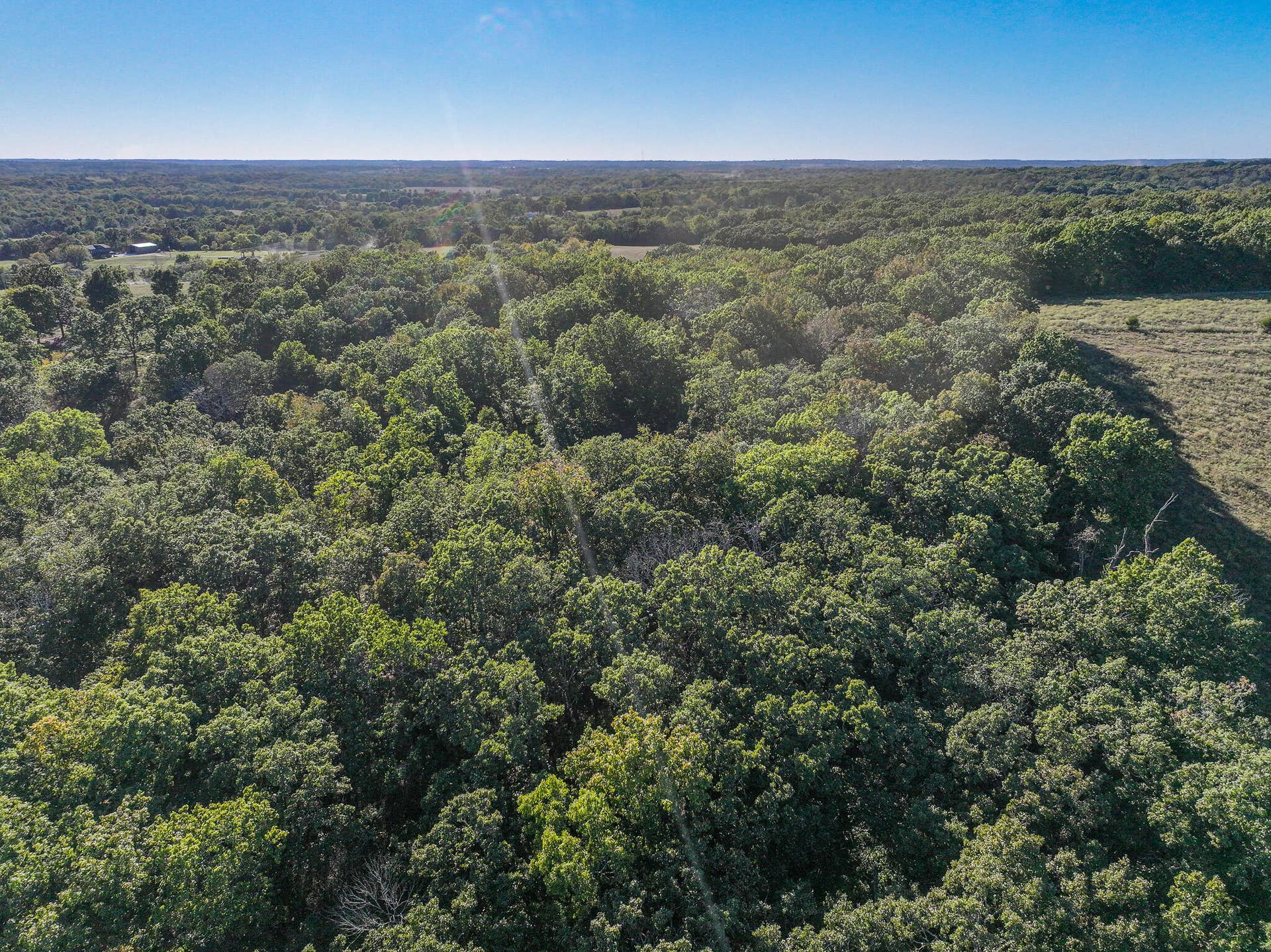 000 S 2125 Road, Stockton, MO 65785 DJI_20261005152620_0338_D
