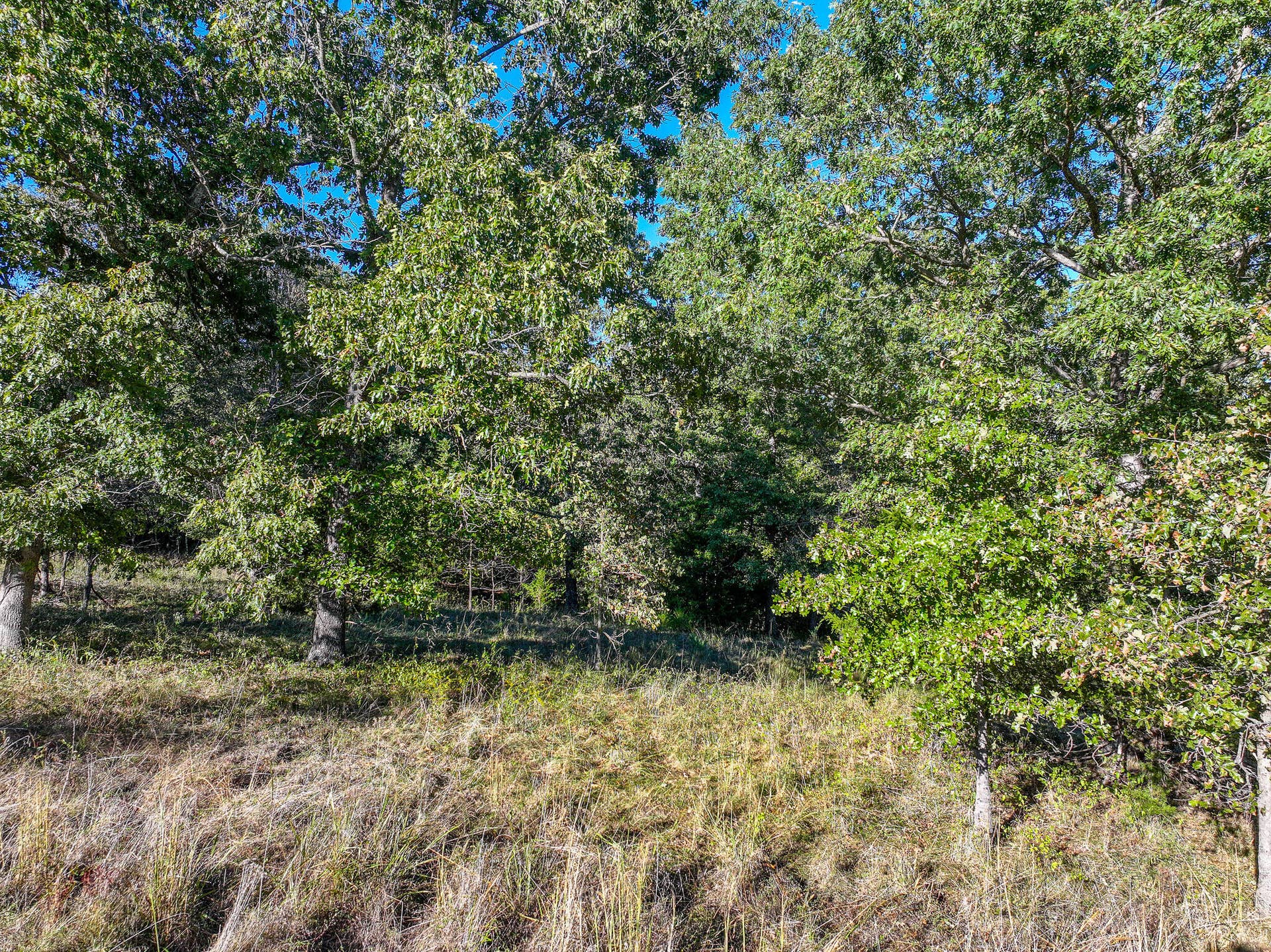 000 S 2125 Road, Stockton, MO 65785 DJI_20261005152956_0354_D