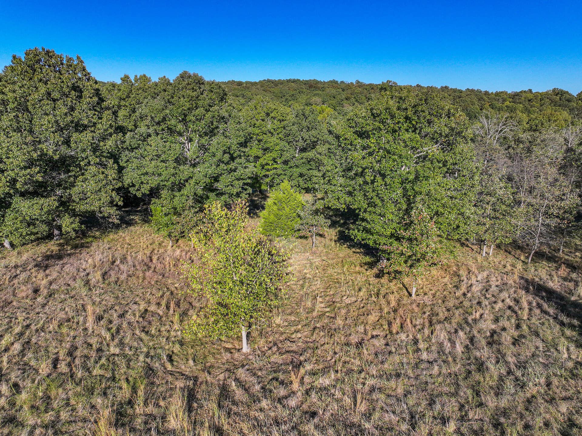 000 S 2125 Road, Stockton, MO 65785 DJI_20261005153027_0359_D