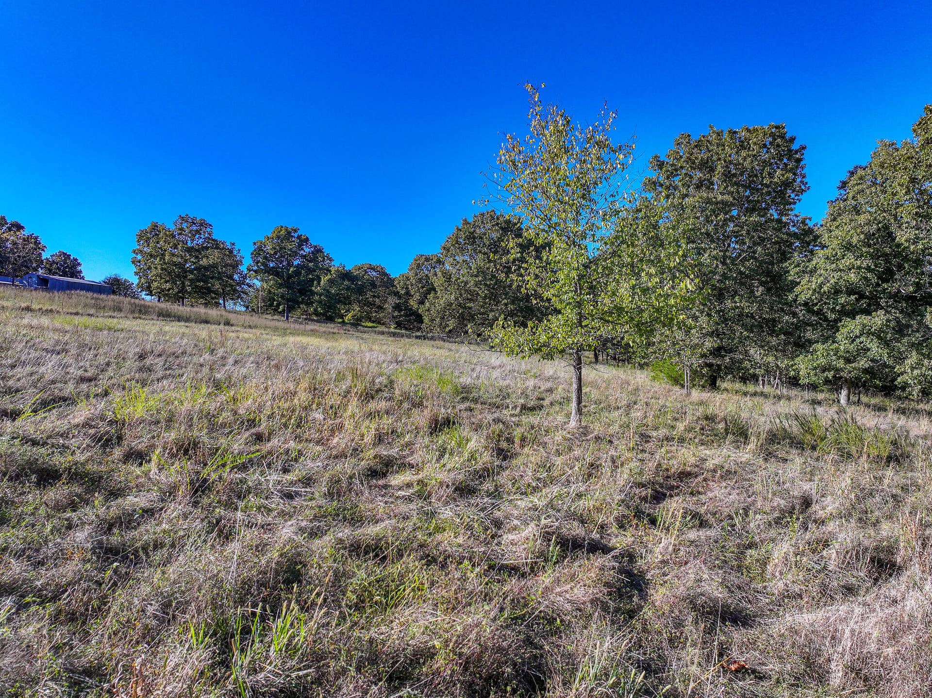 000 S 2125 Road, Stockton, MO 65785 DJI_20261005152945_0353_D