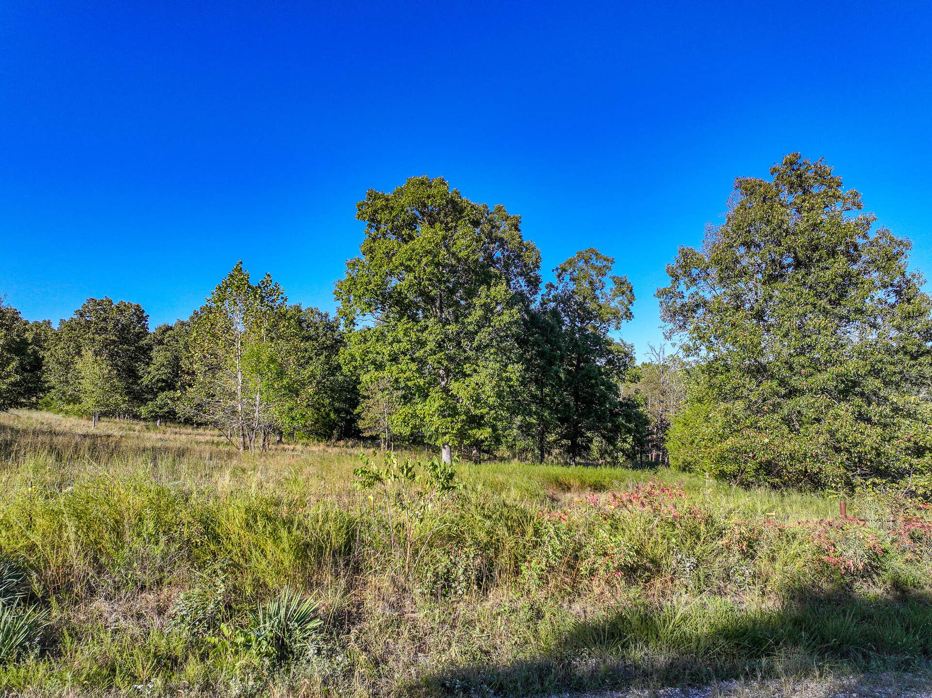 000 S 2125 Road, Stockton, MO 65785 DJI_20261005152915_0349_D