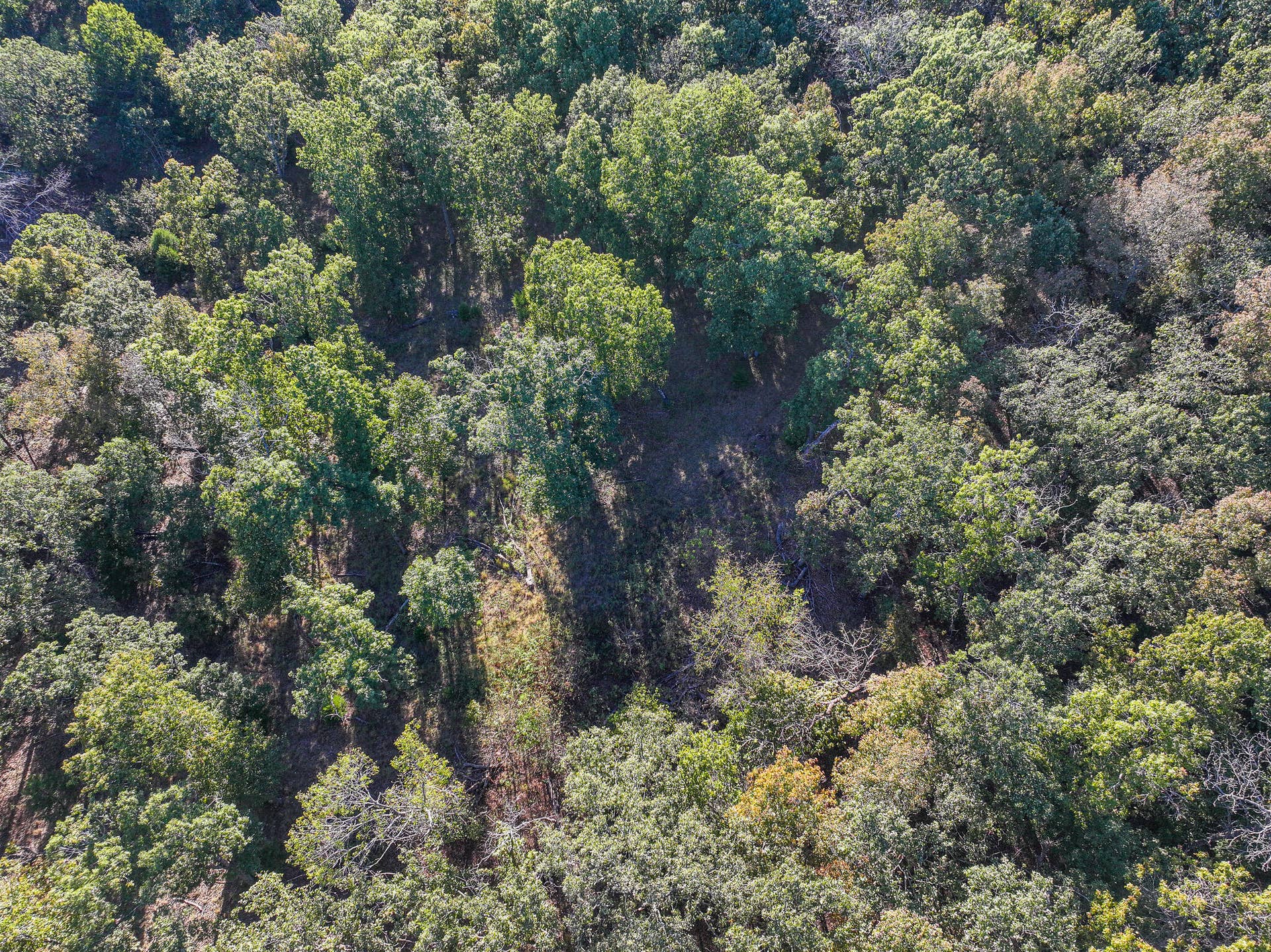 000 S 2125 Road, Stockton, MO 65785 DJI_20261005152634_0340_D