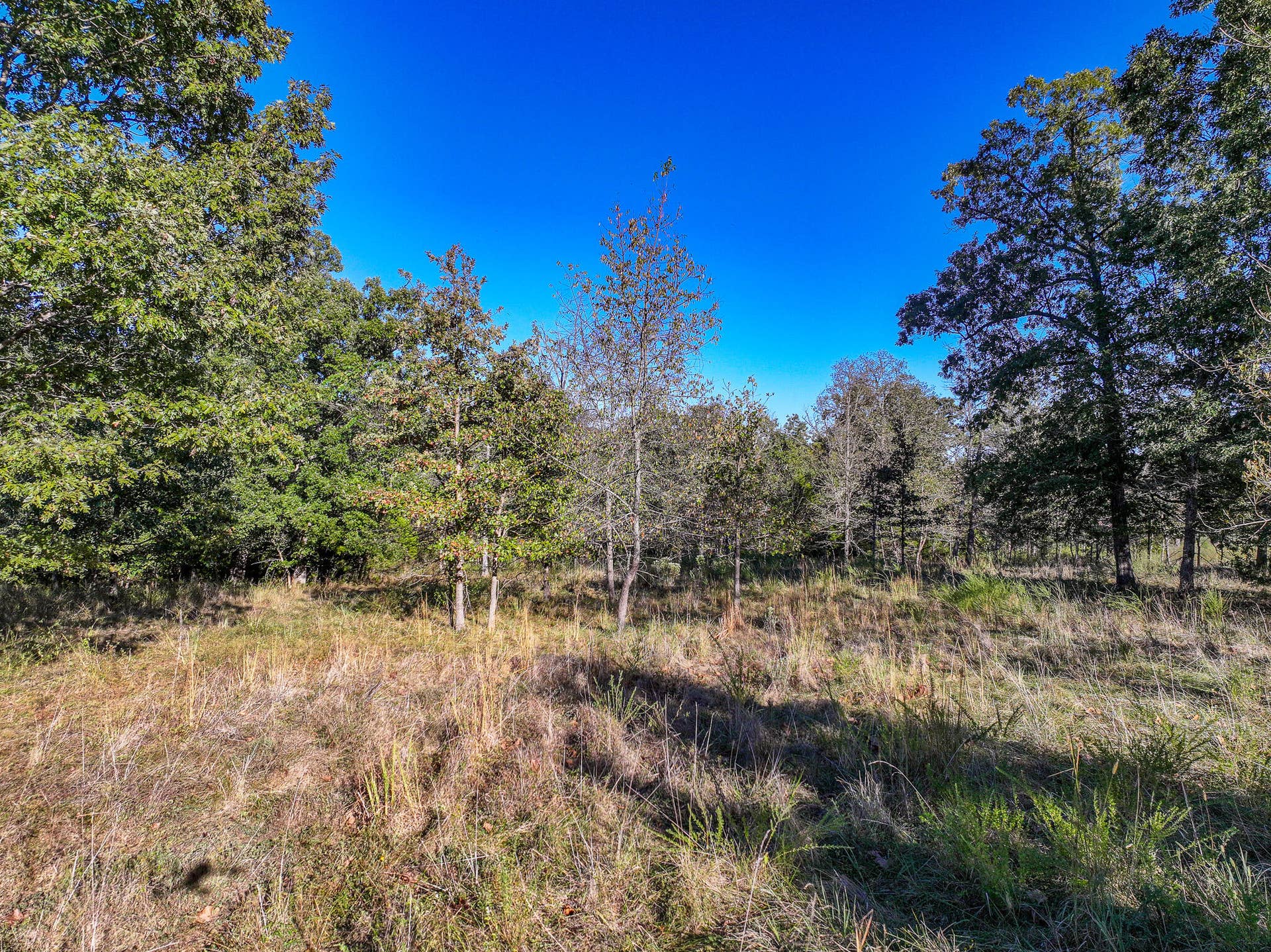 000 S 2125 Road, Stockton, MO 65785 DJI_20261005152939_0352_D