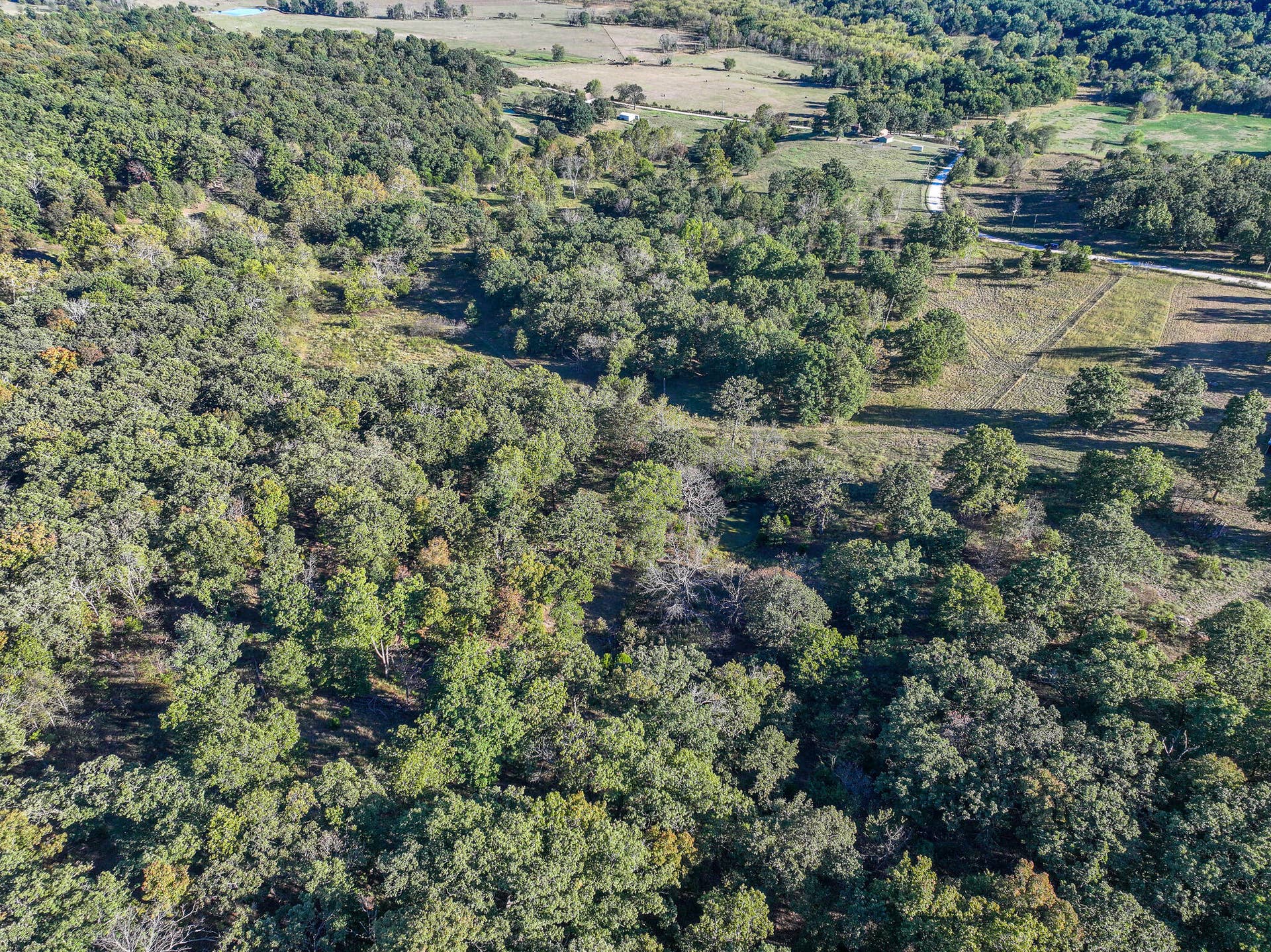 000 S 2125 Road, Stockton, MO 65785 DJI_20261005152747_0344_D