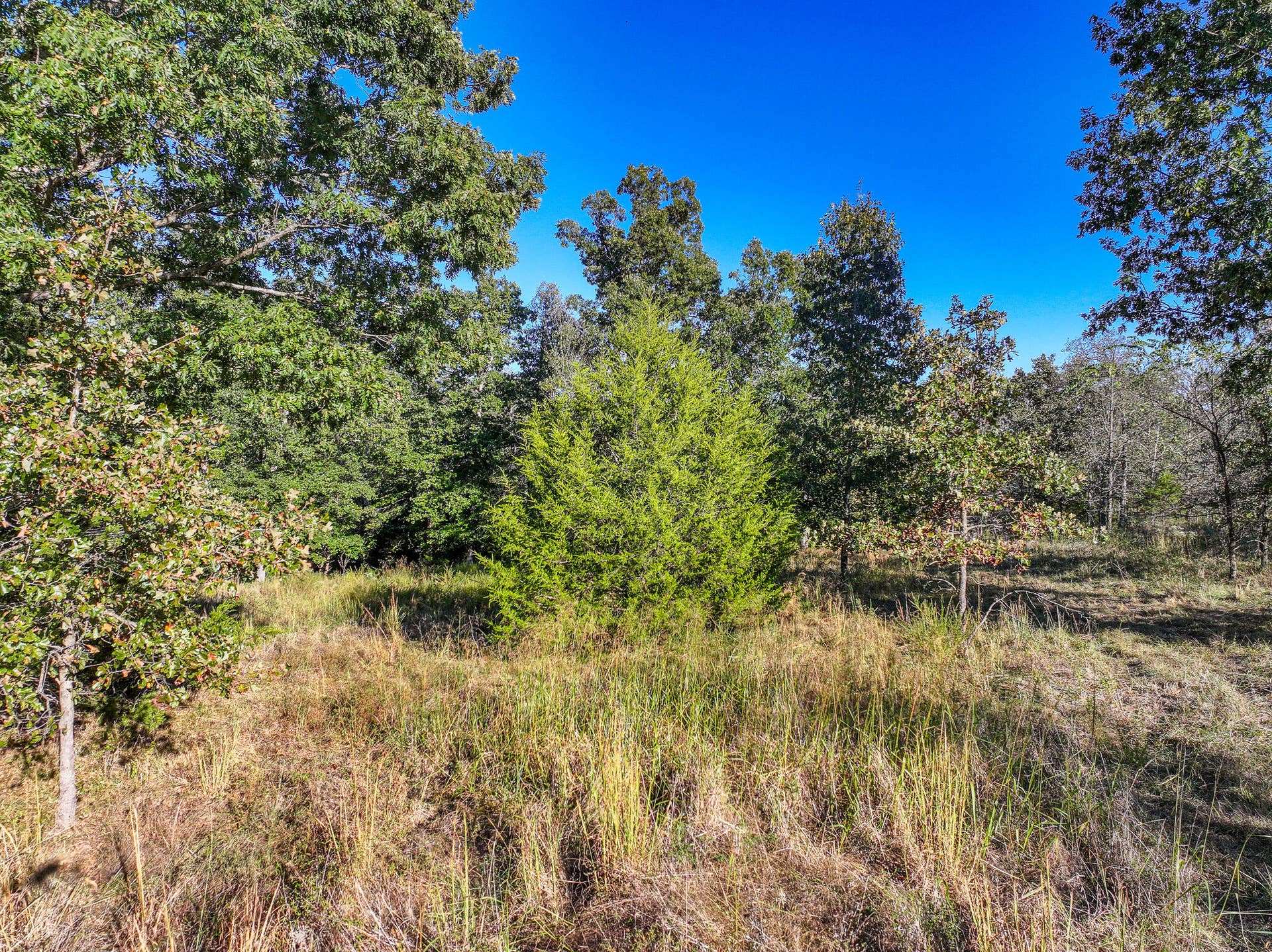000 S 2125 Road, Stockton, MO 65785 DJI_20261005152959_0355_D