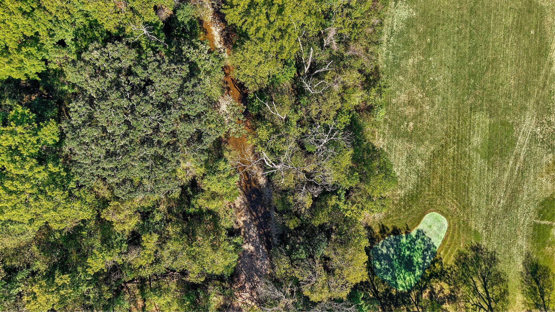 706 S Pearson Drive, Springfield, MO 65809 706 S Pearson Dr-6