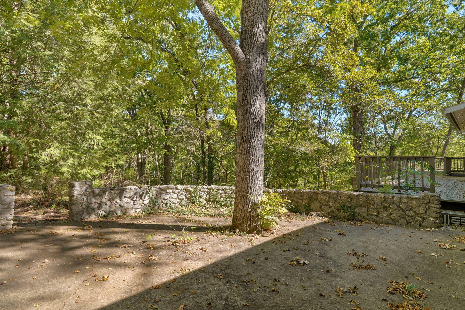 706 S Pearson Drive, Springfield, MO 65809 706 S Pearson Dr-62