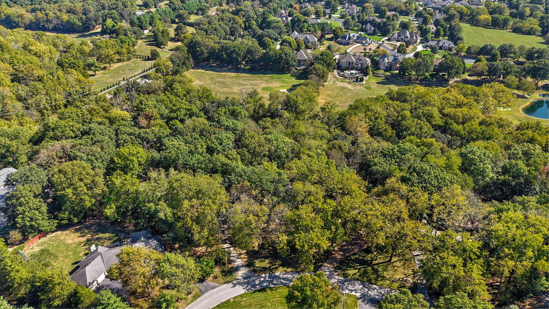 706 S Pearson Drive, Springfield, MO 65809 706 S Pearson Dr-1