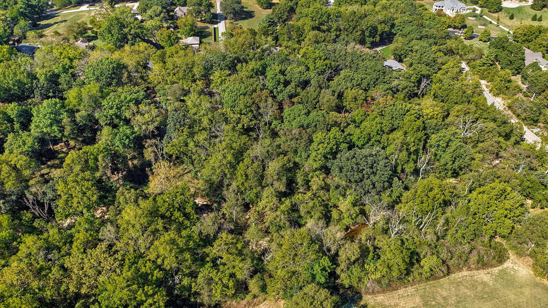 706 S Pearson Drive, Springfield, MO 65809 706 S Pearson Dr-5
