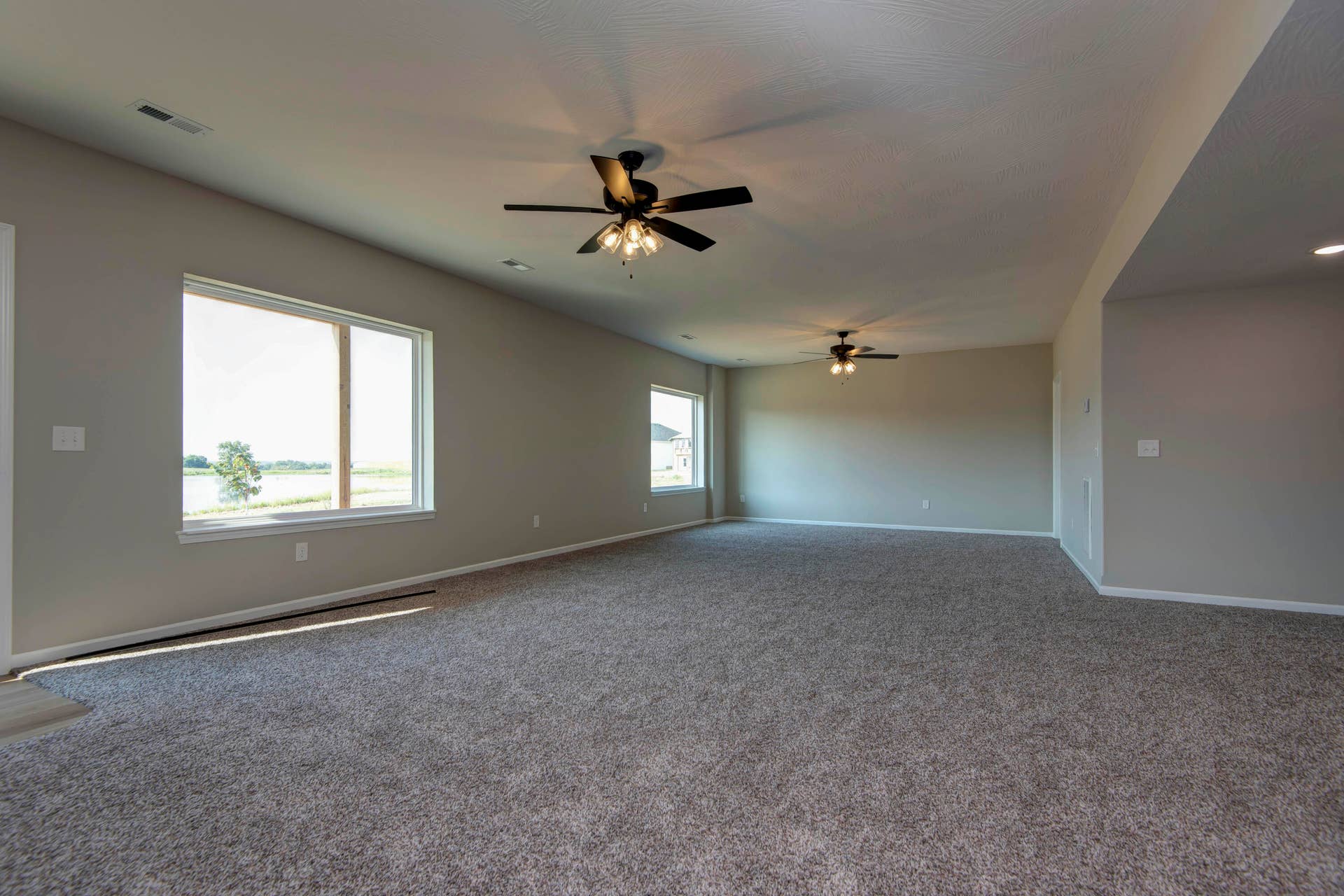 731 S Wheaton Hills Drive, #Lot 217, Nixa, MO 65714 Basement