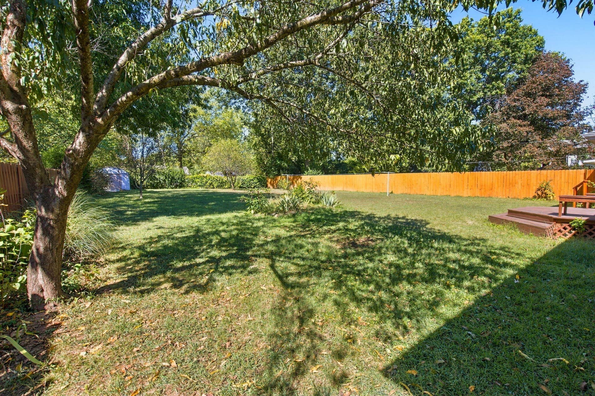 2141 S Luster Avenue, Springfield, MO 65804 24-web-or-mls-_DSC9910