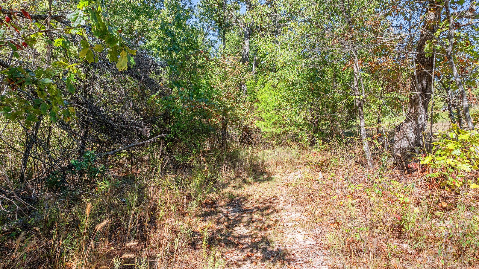 DJI_20261007024419_0107_D