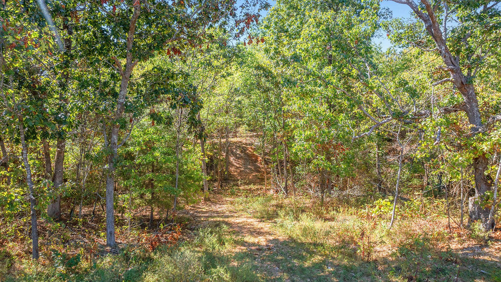DJI_20261007024431_0110_D