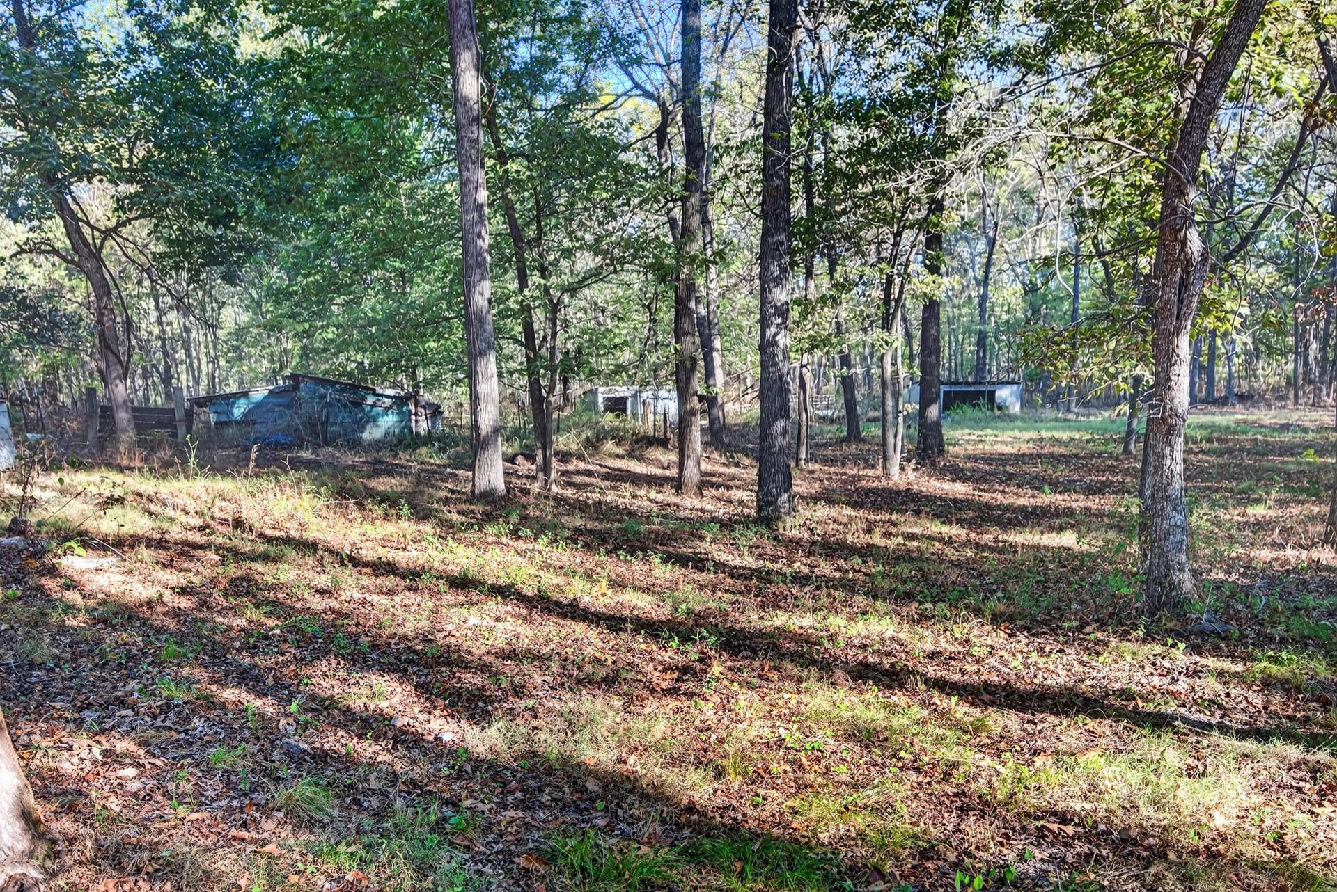 8 Dallion Ford Lane, Buffalo, MO 65622 IMG_0135