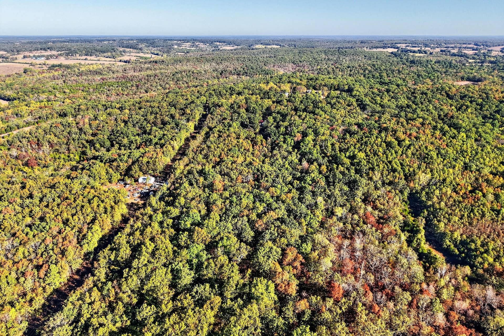 8 Dallion Ford Lane, Buffalo, MO 65622 DJI_20261006092324_0066_D