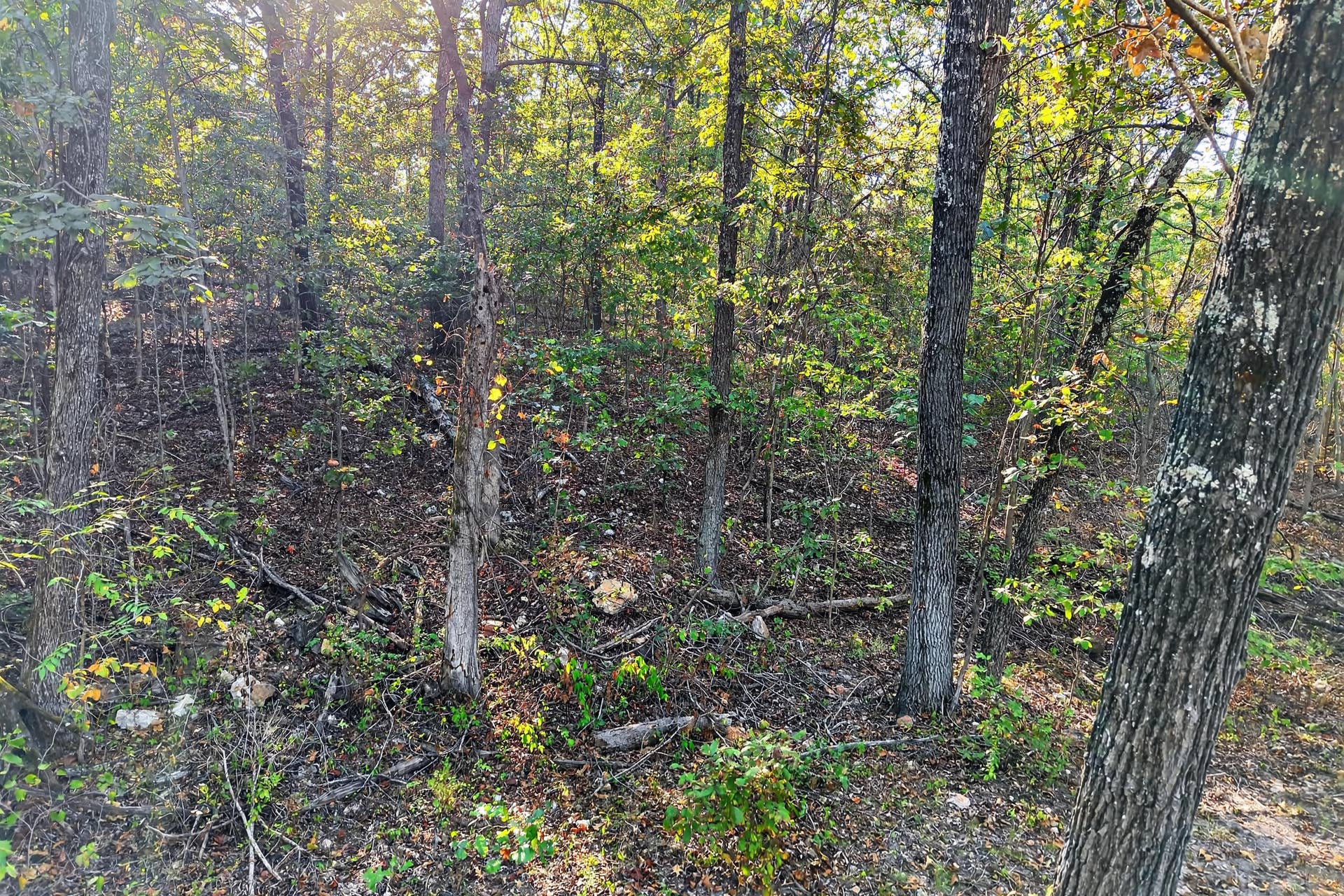 8 Dallion Ford Lane, Buffalo, MO 65622 DJI_20261006091411_0008_D