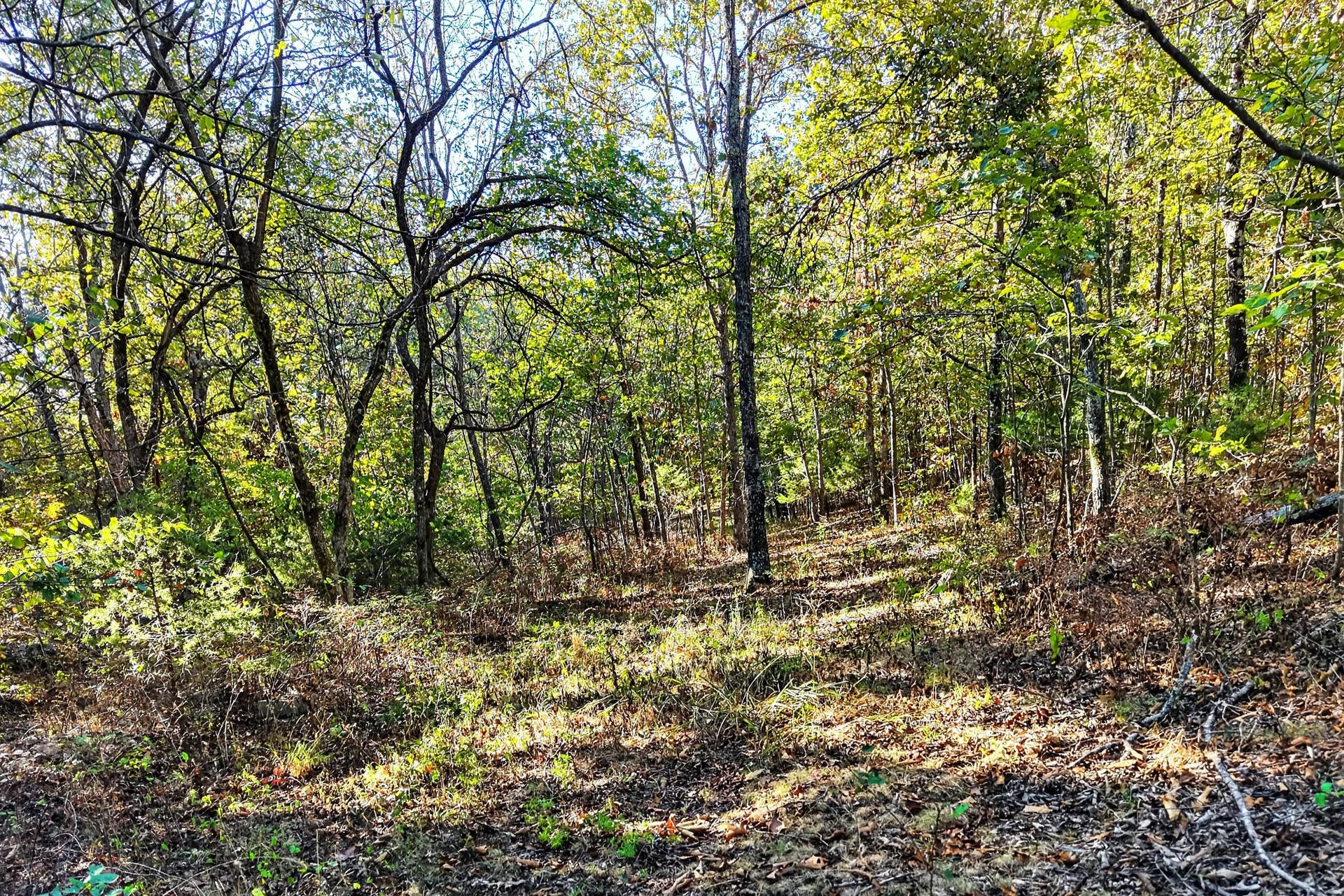 8 Dallion Ford Lane, Buffalo, MO 65622 DJI_20261006092432_0071_D