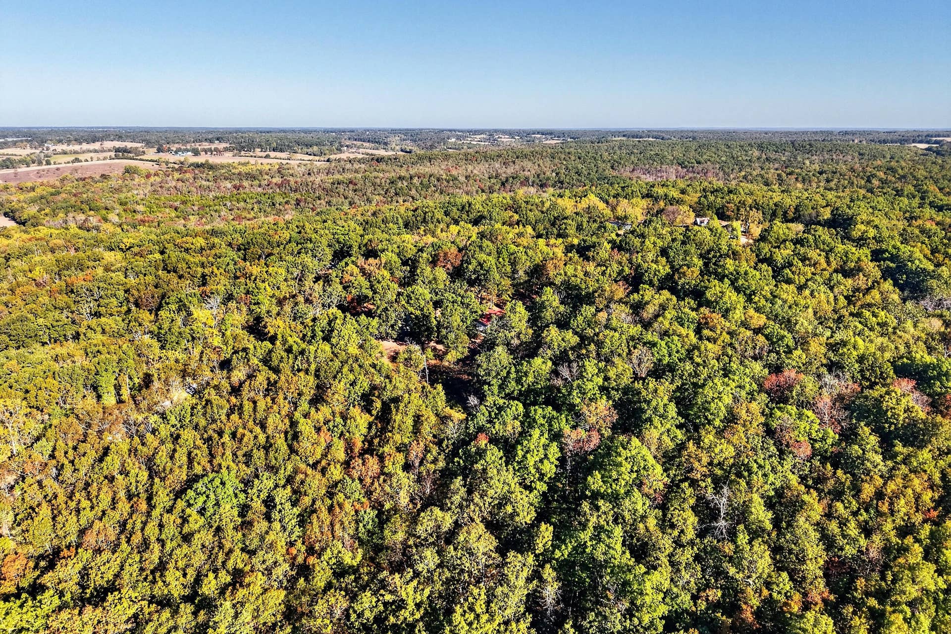 8 Dallion Ford Lane, Buffalo, MO 65622 DJI_20261006092337_0068_D