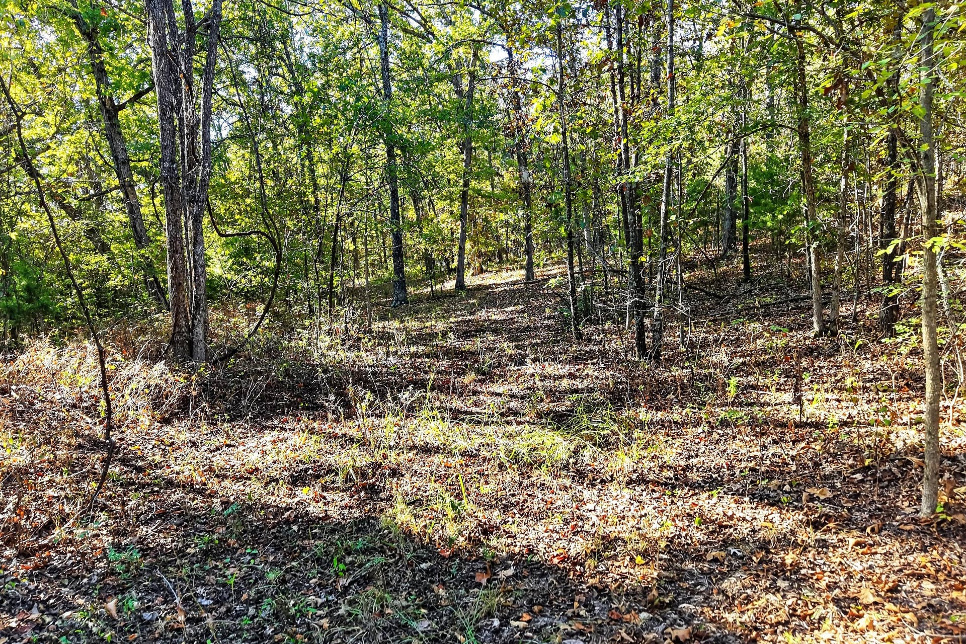 8 Dallion Ford Lane, Buffalo, MO 65622 DJI_20261006092457_0074_D
