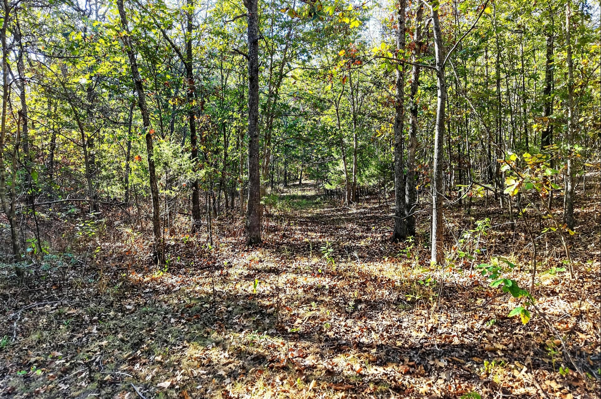 8 Dallion Ford Lane, Buffalo, MO 65622 DJI_20261006092440_0072_D