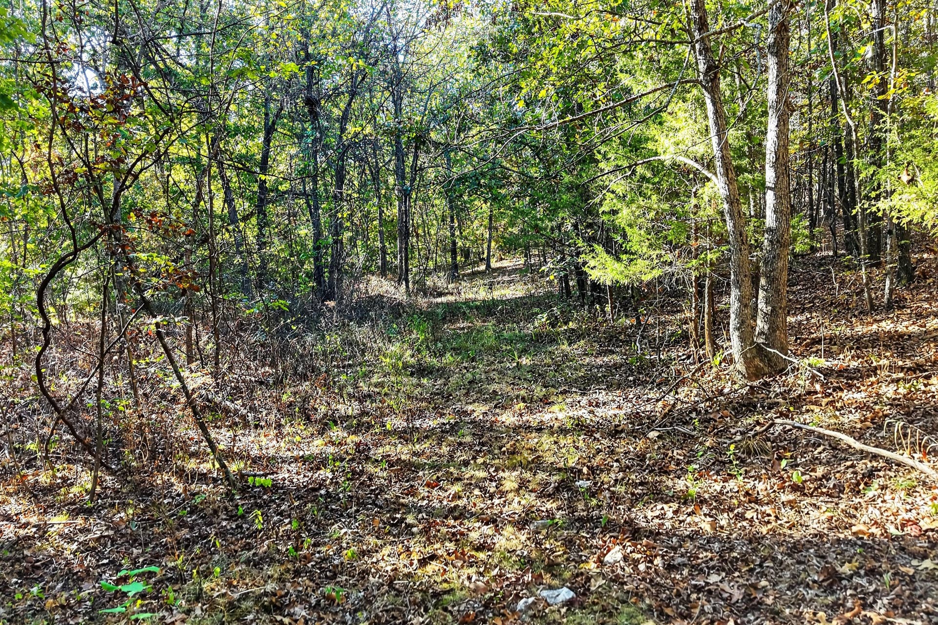 8 Dallion Ford Lane, Buffalo, MO 65622 DJI_20261006092447_0073_D