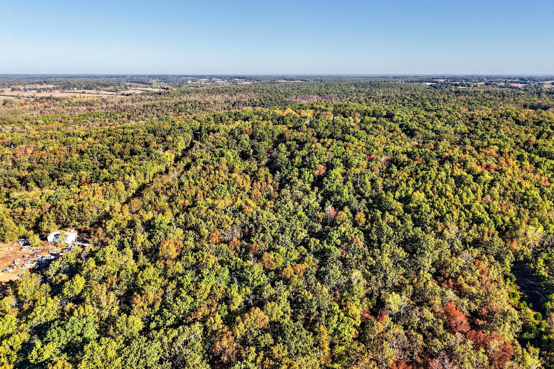 8 Dallion Ford Lane, Buffalo, MO 65622 DJI_20261006092329_0067_D