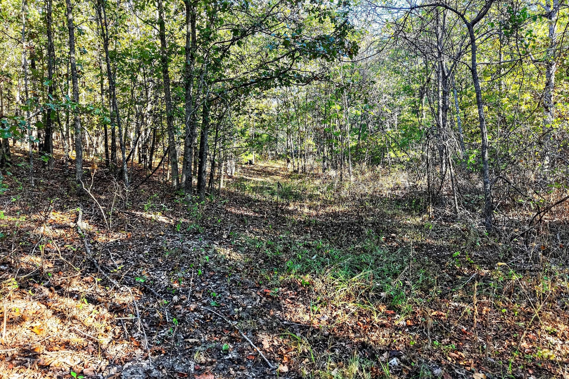 8 Dallion Ford Lane, Buffalo, MO 65622 DJI_20261006092503_0075_D