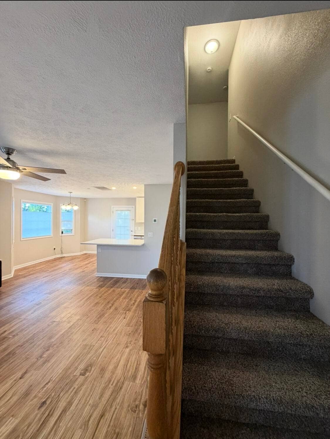 369 Knox Avenue, Hollister, MO 65672 IMG_7724