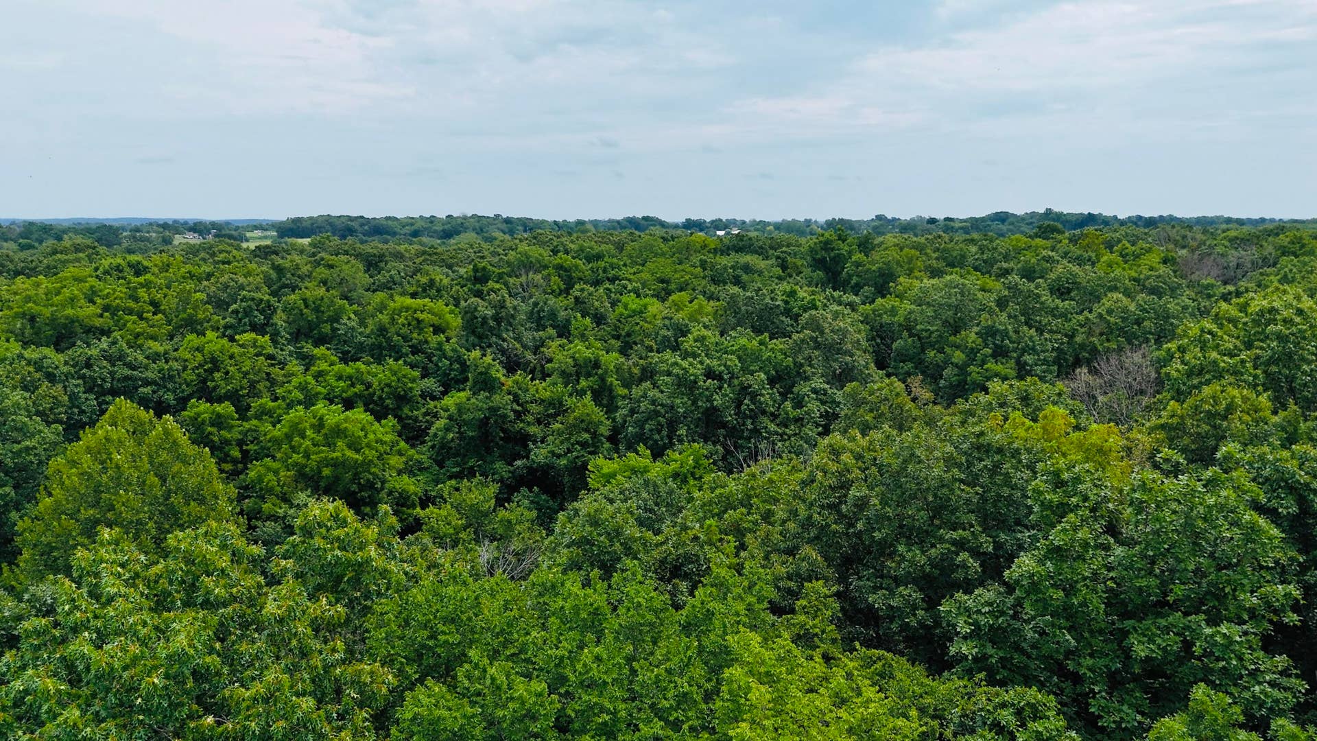 34a E Dade 86, Greenfield, MO 65661 dji_fly_20260724_130416_0112_17849164729
