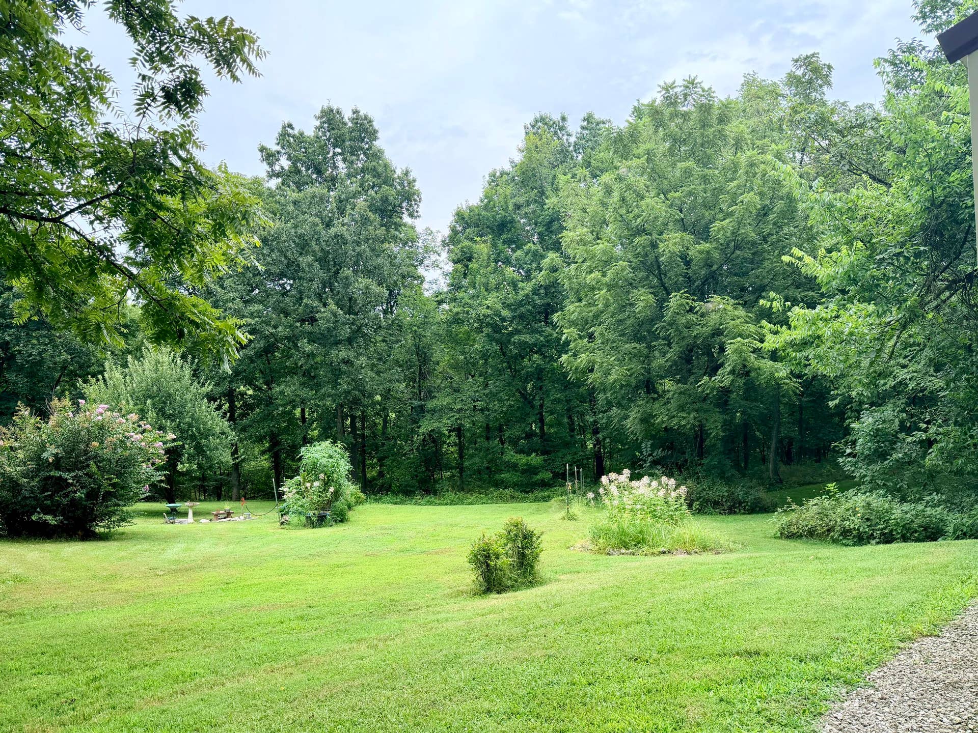 34a E Dade 86, Greenfield, MO 65661 IMG_7045