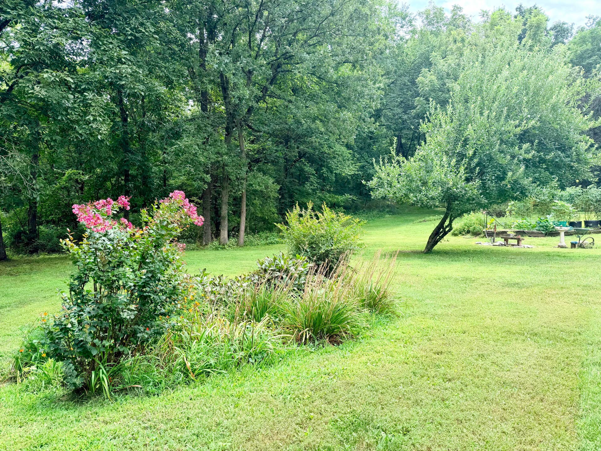 34a E Dade 86, Greenfield, MO 65661 IMG_7032