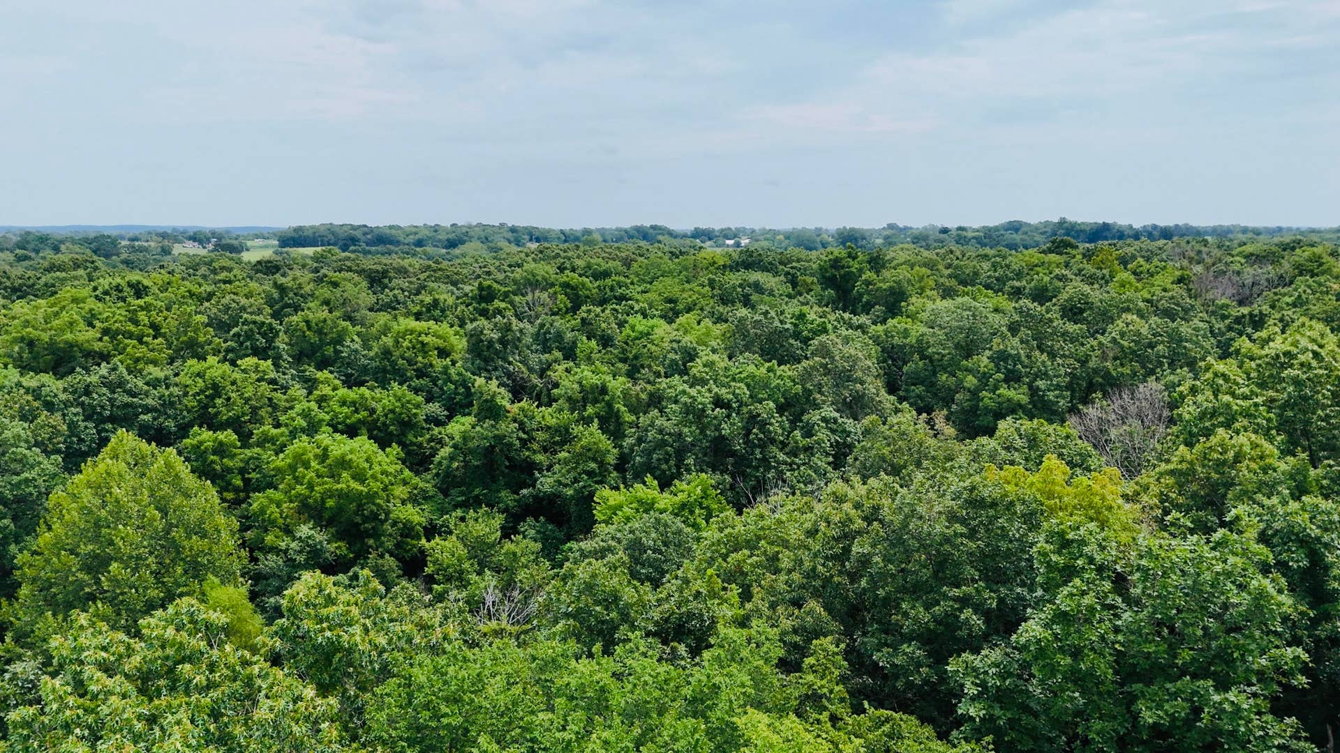 34a E Dade 86, Greenfield, MO 65661 dji_fly_20260724_130424_0113_17849164647