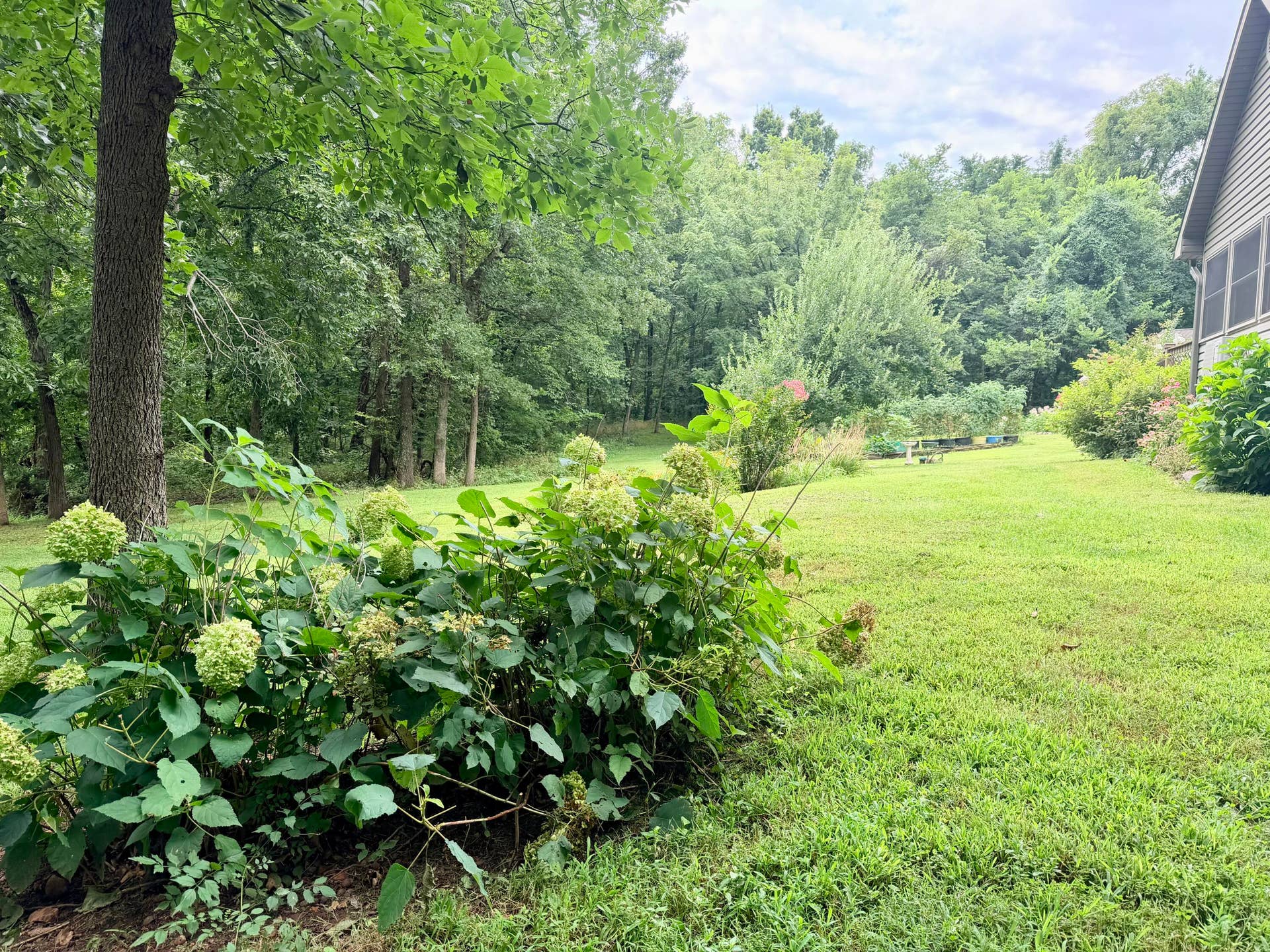 34a E Dade 86, Greenfield, MO 65661 IMG_7029