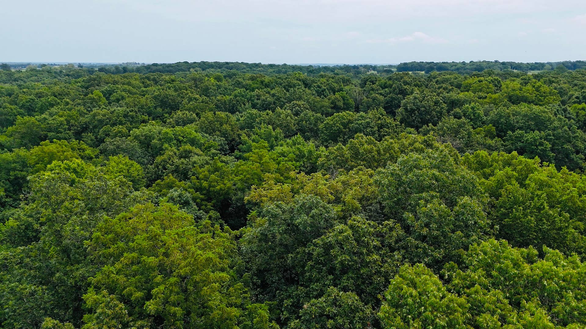 34a E Dade 86, Greenfield, MO 65661 dji_fly_20260724_124902_0099_17849158251