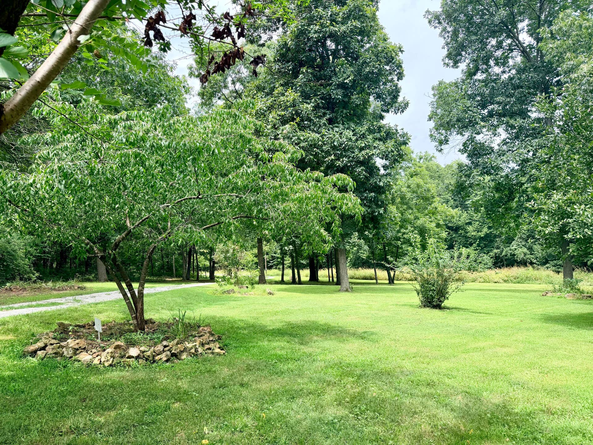 34a E Dade 86, Greenfield, MO 65661 IMG_7025