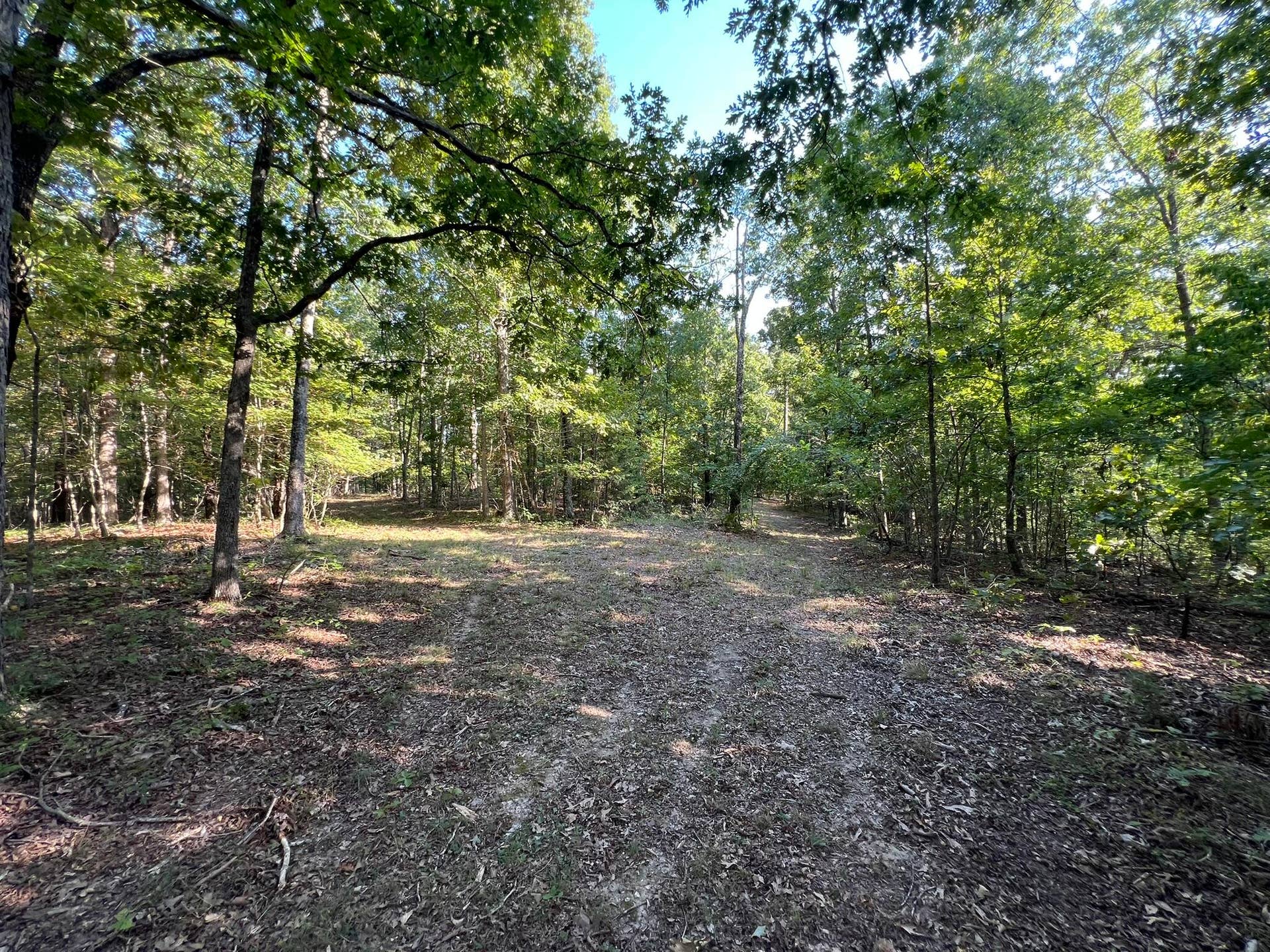 3784 County Road 3600, Willow Springs, MO 65793 177