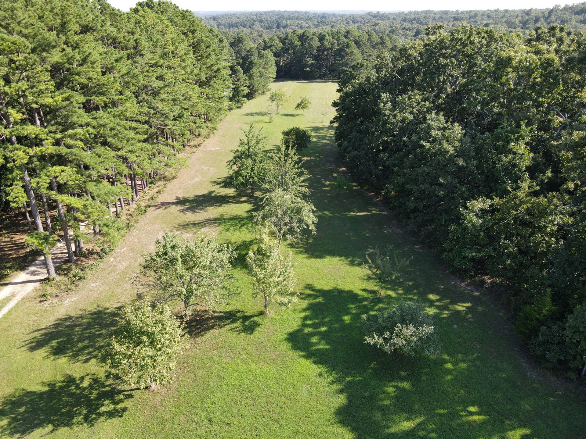 3784 County Road 3600, Willow Springs, MO 65793 163.1