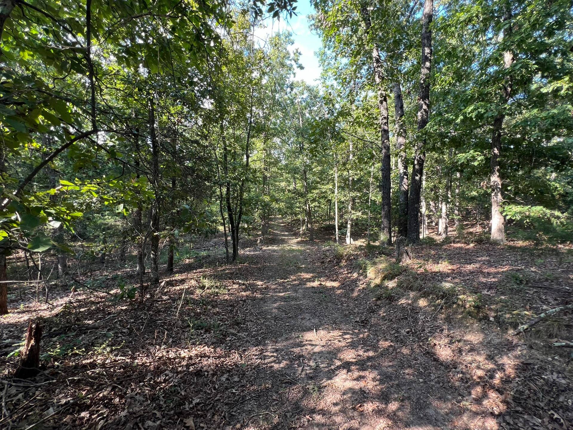 3784 County Road 3600, Willow Springs, MO 65793 173