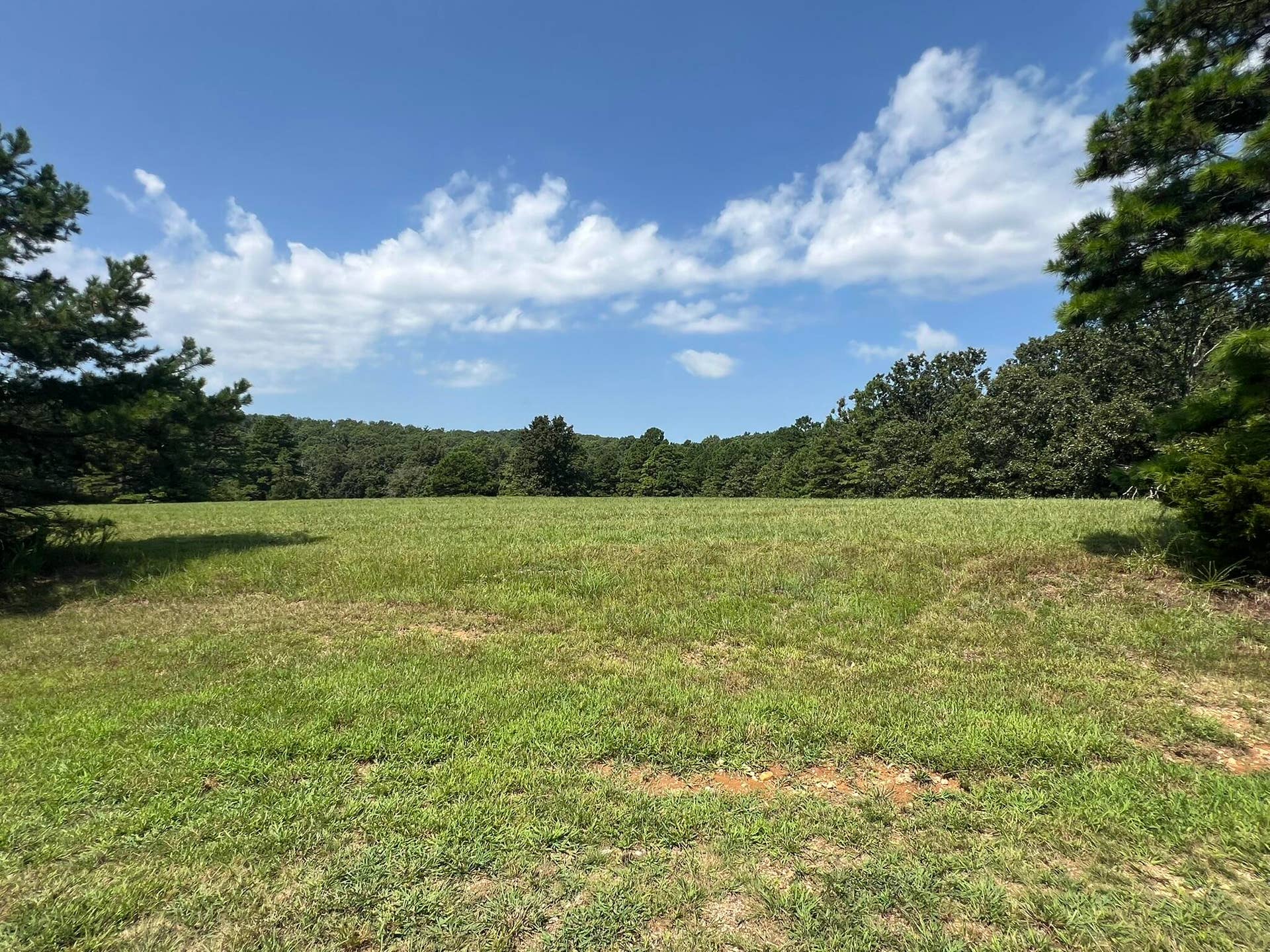 3784 County Road 3600, Willow Springs, MO 65793 169