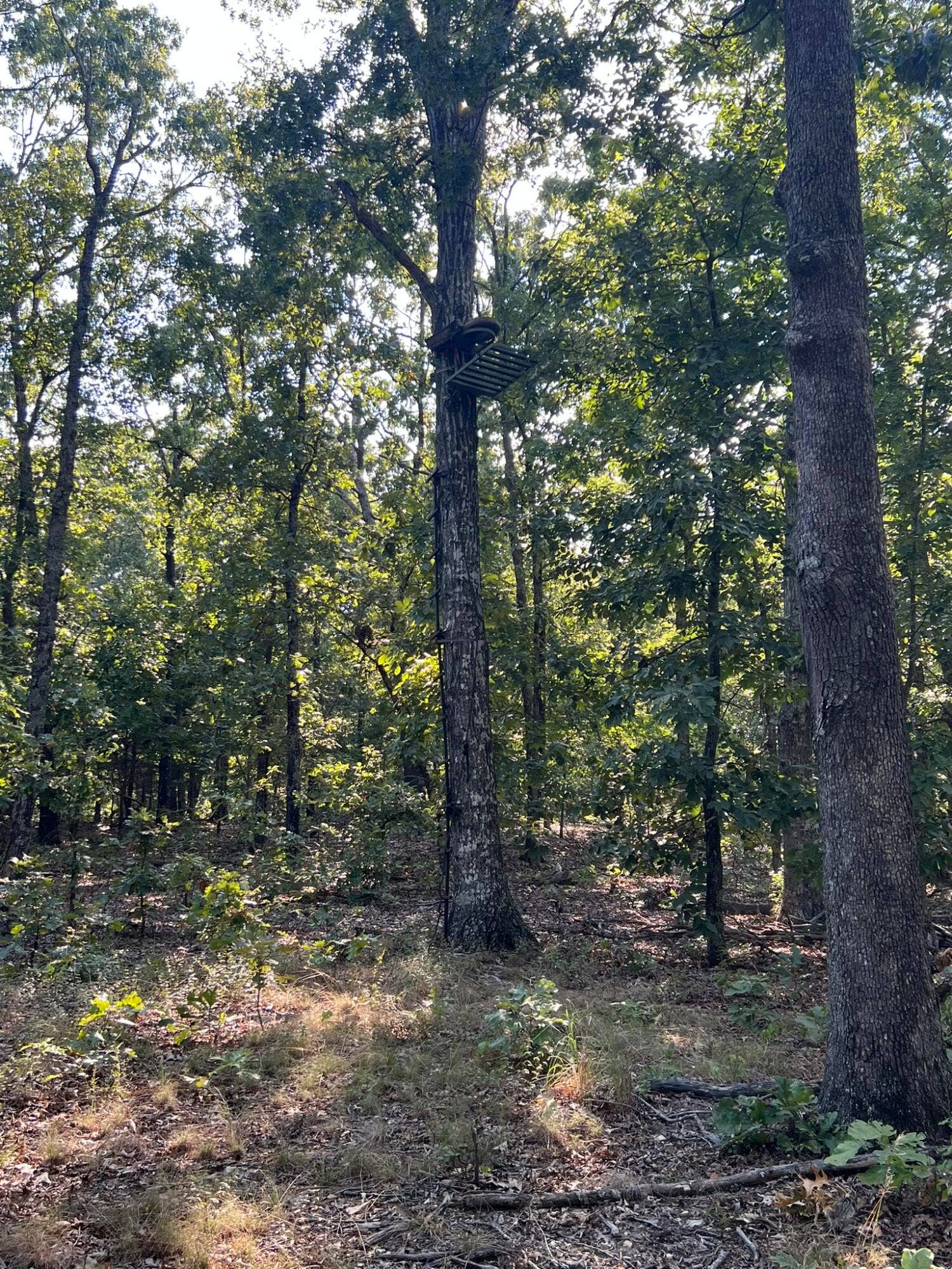 3784 County Road 3600, Willow Springs, MO 65793 175