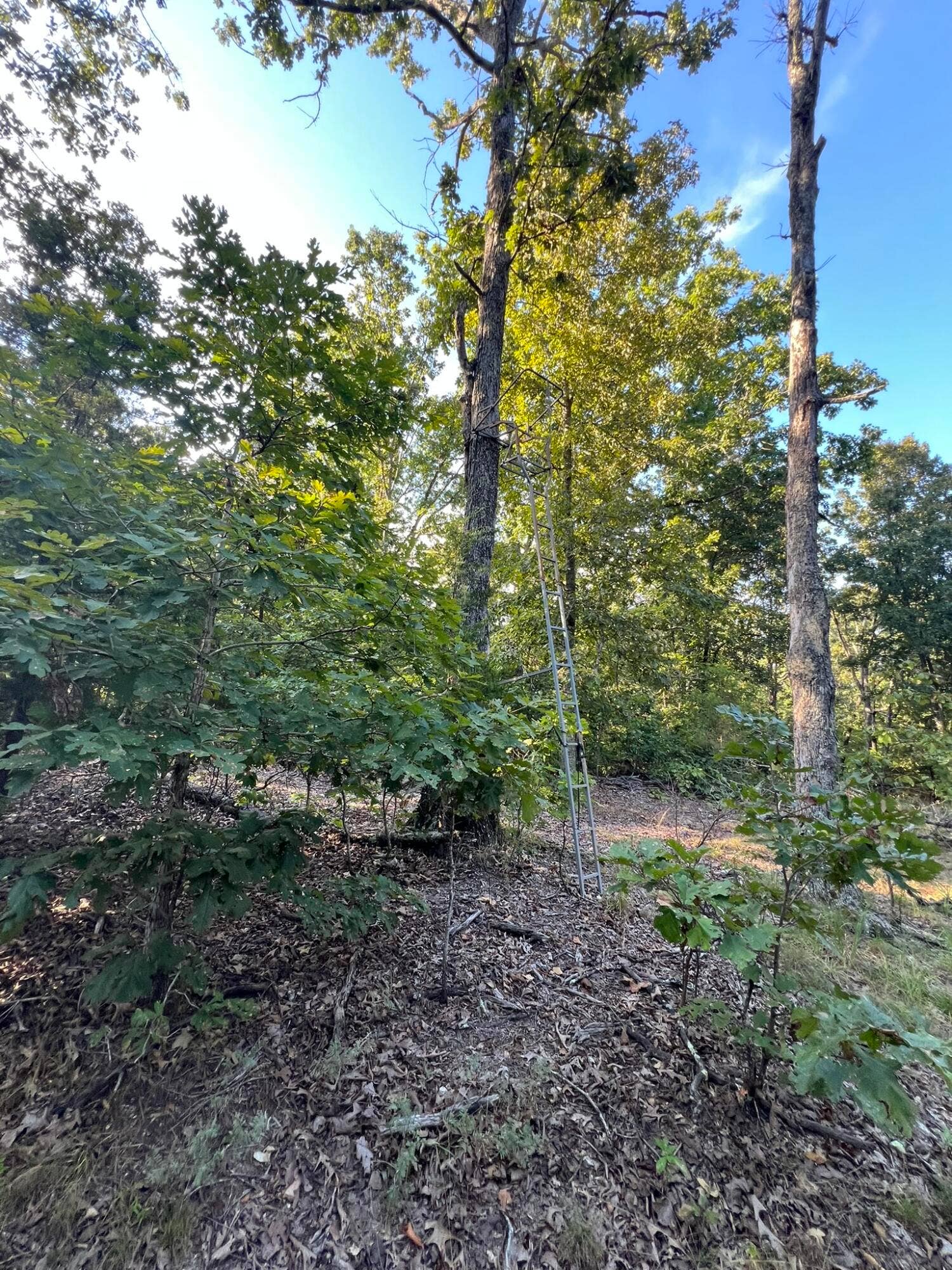 3784 County Road 3600, Willow Springs, MO 65793 179