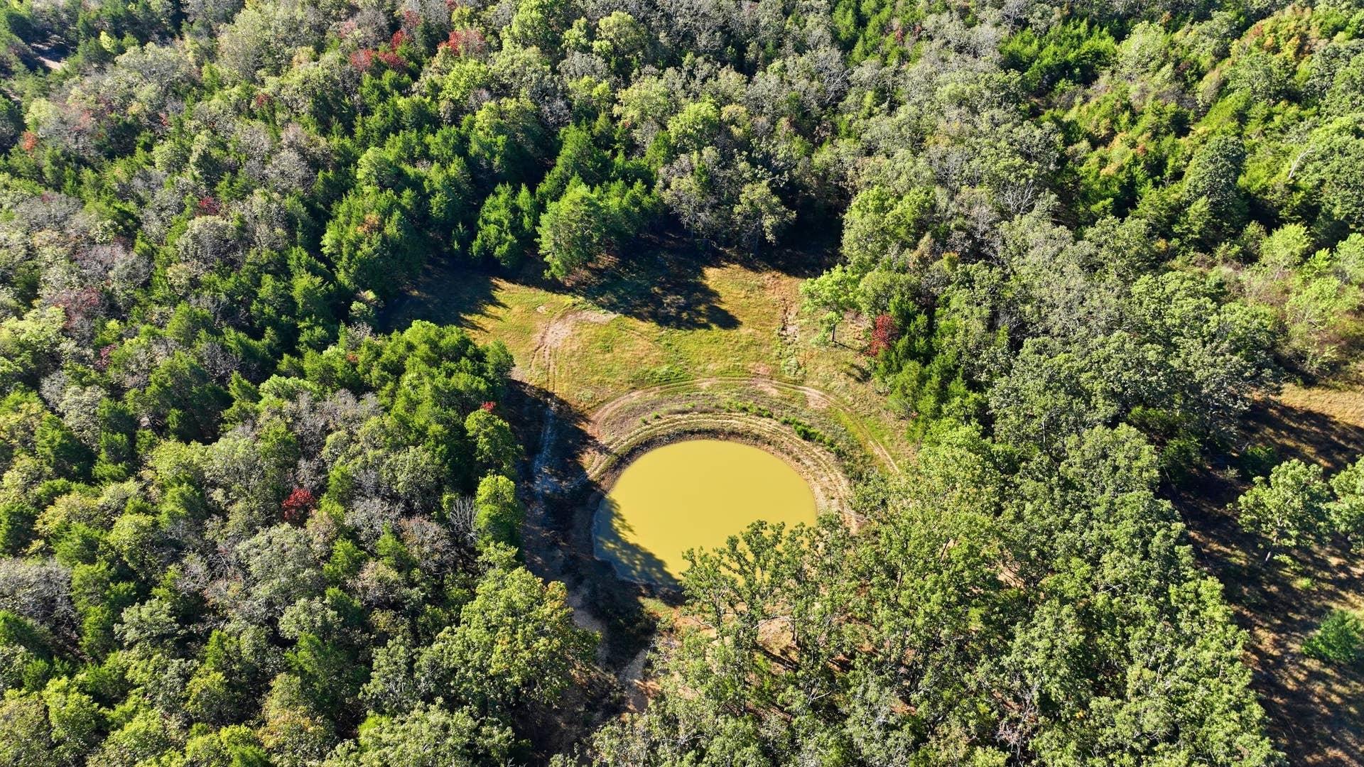 DJI_0885