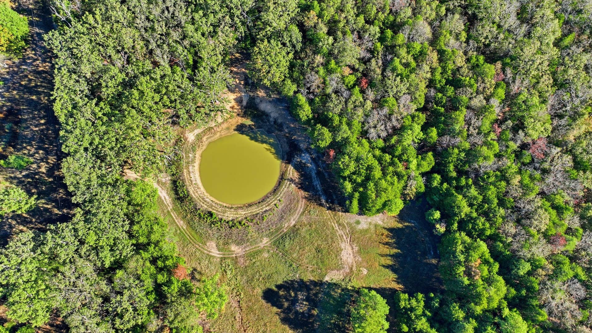 DJI_0895
