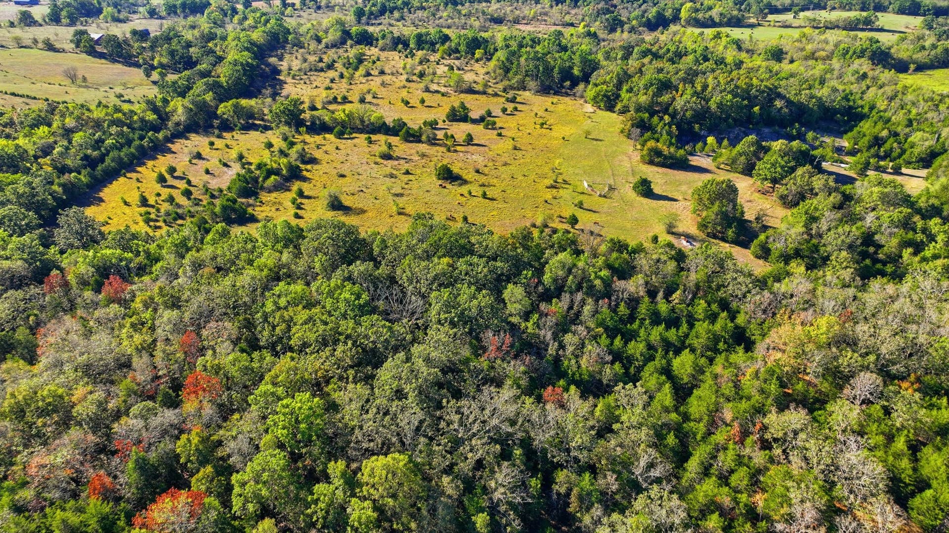 DJI_0890