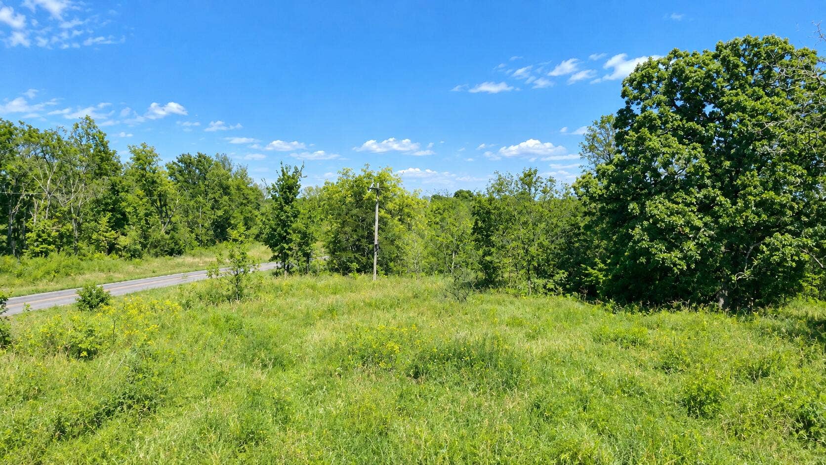 000 S 39 Highway, Stockton, MO 65785 Vibrant Summer Meadow Roadside
