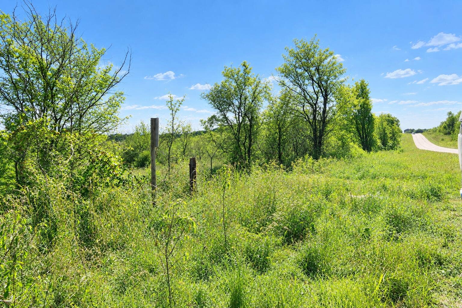 000 S 39 Highway, Stockton, MO 65785 Lush Summer Roadside Meadow