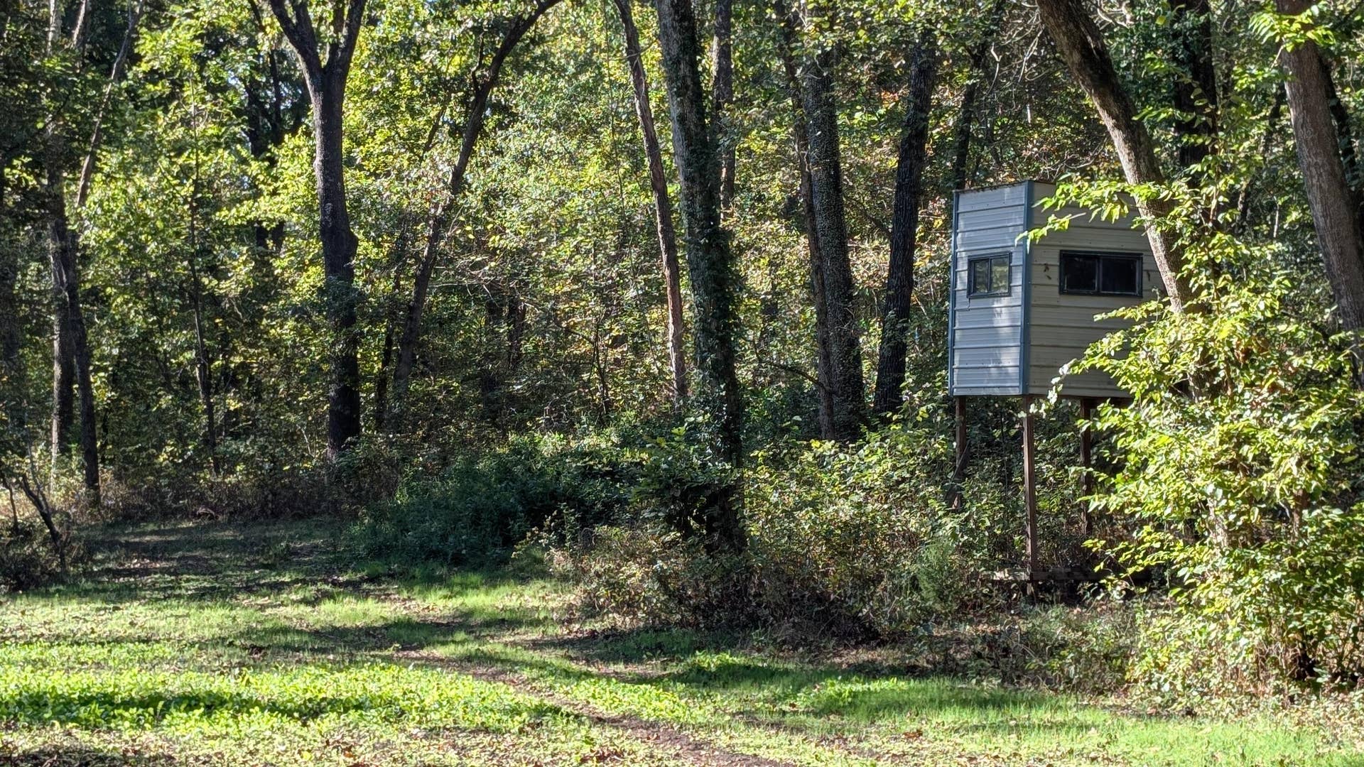 000 SE 731 Road, Collins, MO 64738 1000022411