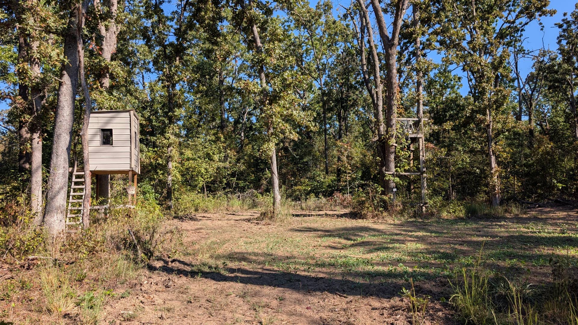 000 SE 731 Road, Collins, MO 64738 1000022417