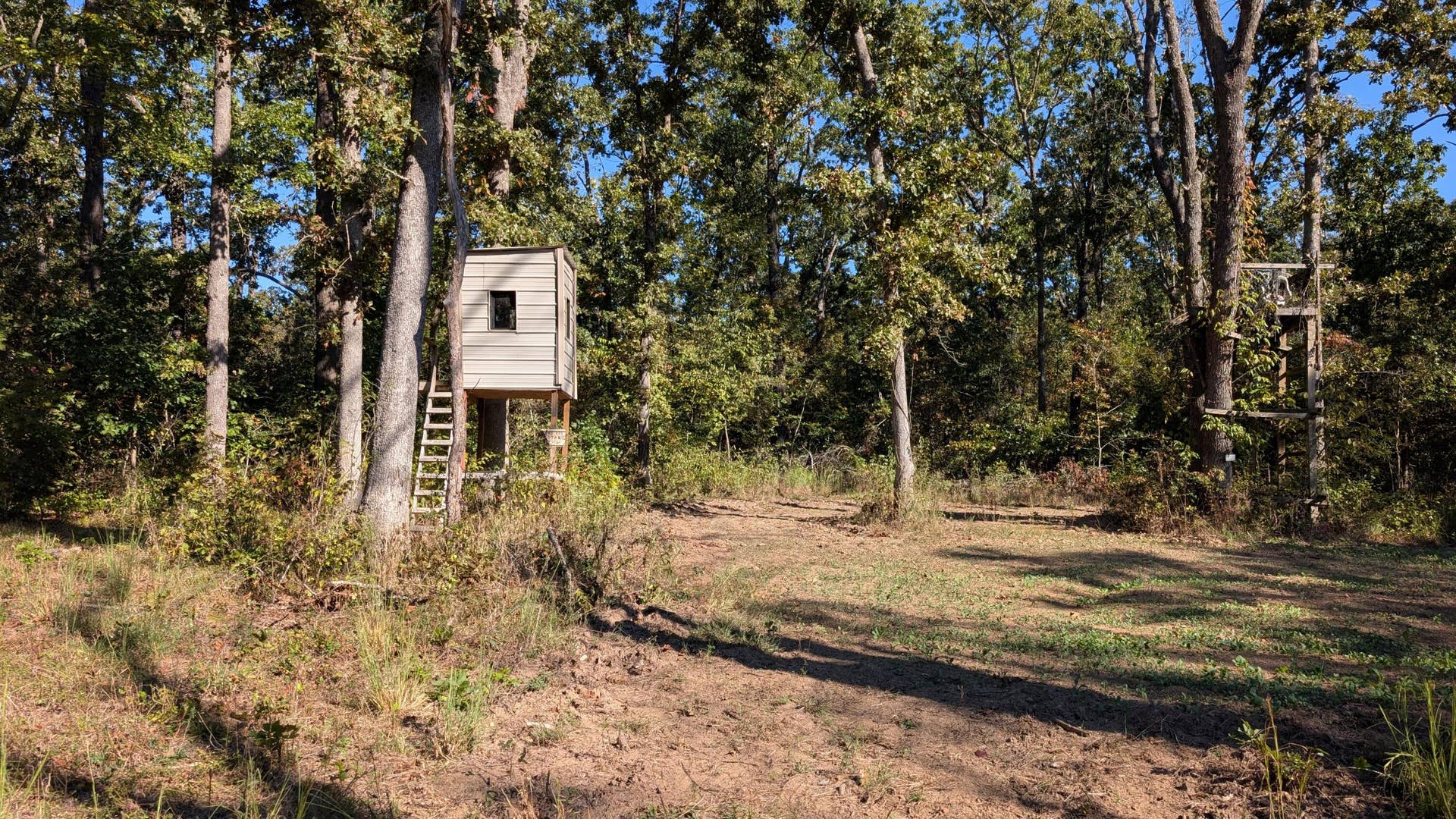 000 SE 731 Road, Collins, MO 64738 1000022416